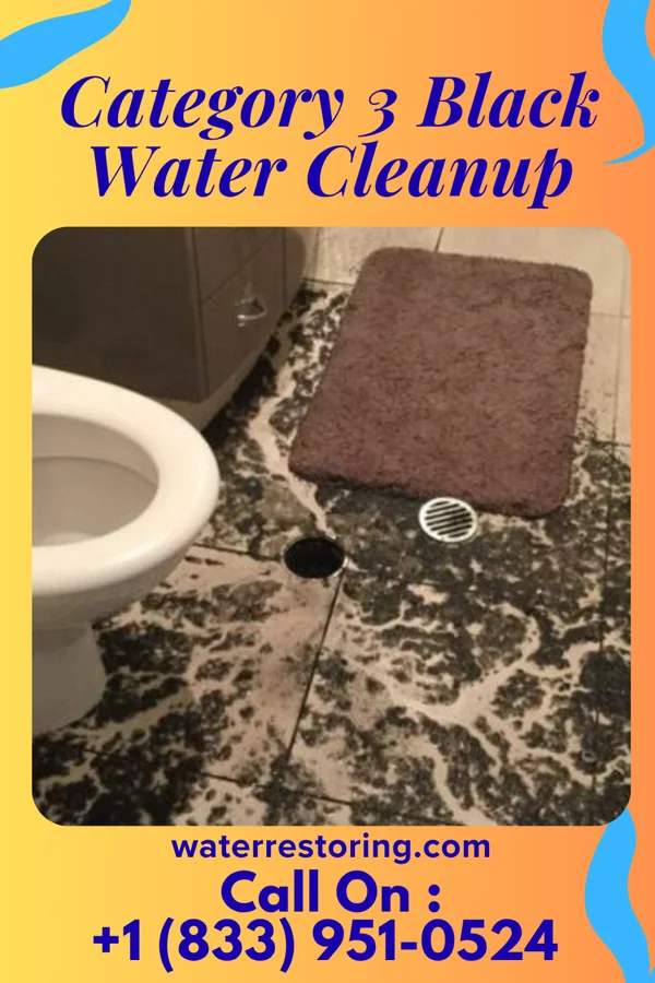 Category 3 Black Water Cleanup in Rangerville, TX