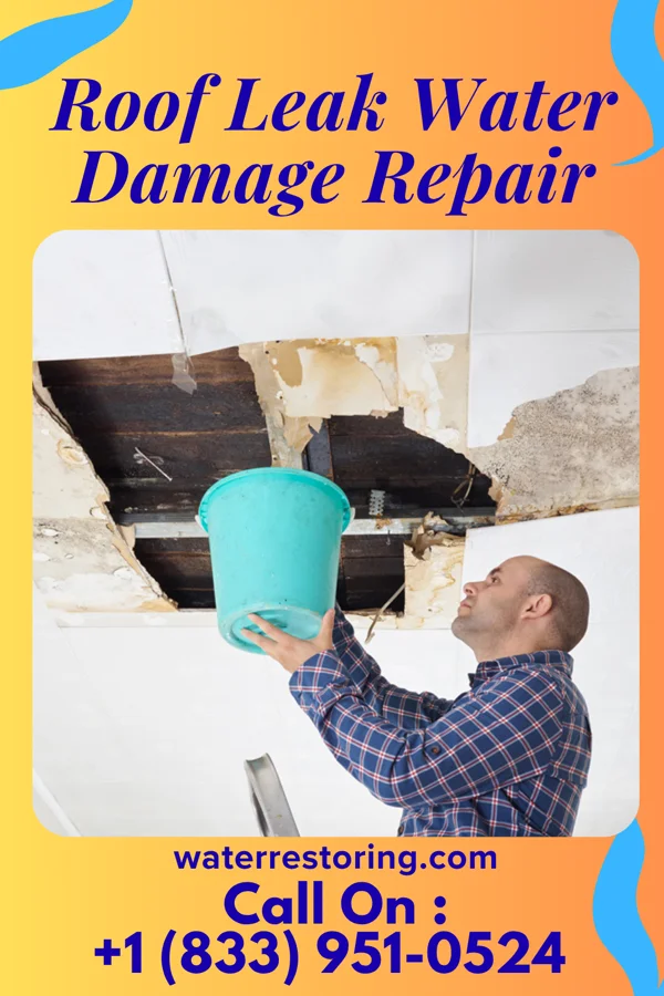 Roof Leak Water Damage Repair in Rangerville, TX