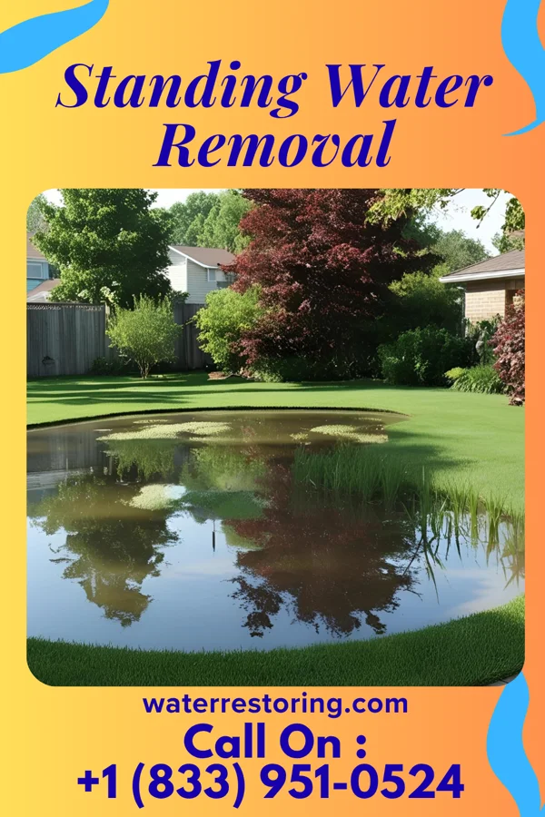 Standing Water Removal in Rangerville, TX